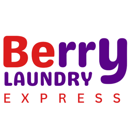 logo berry laundry express